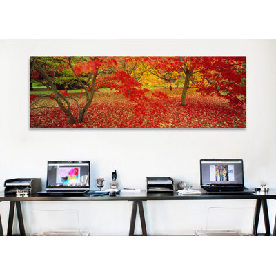 Panoramic Photograph on Canvas