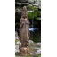 Quan Yin Statue
