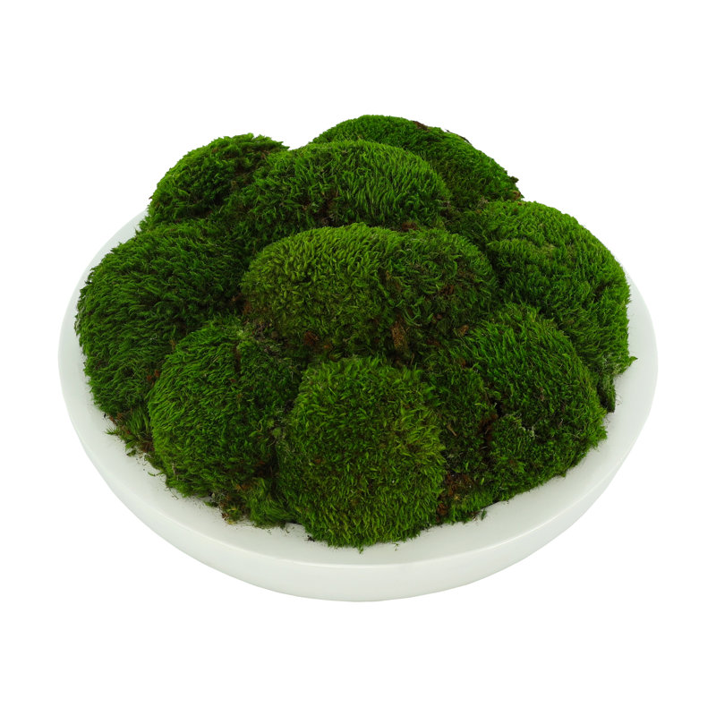 5" Artificial Moss Plant in Planter, 8" H x 14" W x 14" D
