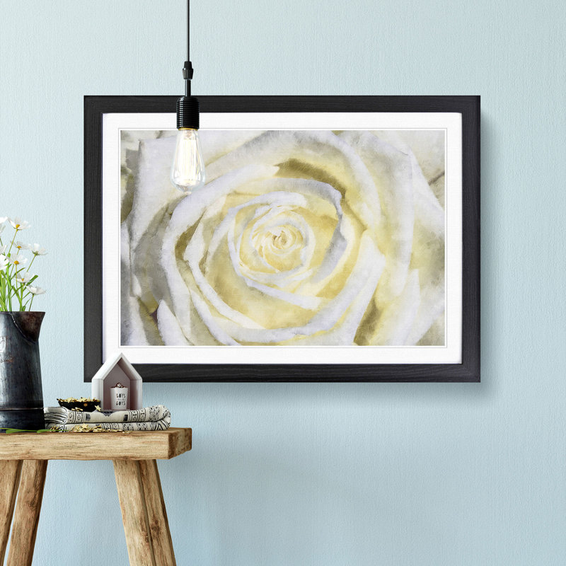 Crisp White Rose - Picture Frame Graphic Art Print, 33cm H x 45cm W x 2cm D, Black Framed