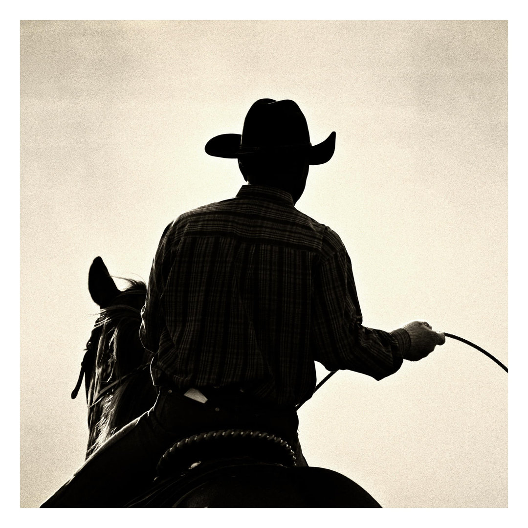 Riding Cowboy 1.92m x 1.92m Textured Matte Peel & Stick Wall Mural