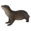 Loutre debout