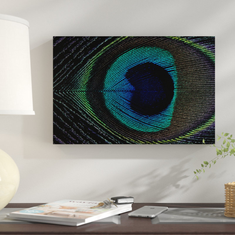 «Peacock Feather I» par Alyson Fennell - reproduction de photo sur toile, H 8 po x l 12 po x P 0,75 po, Toile tendue