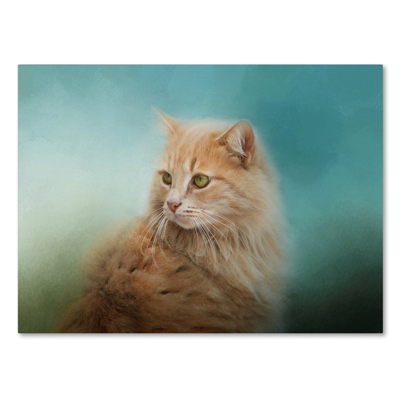 «Over Her Épaule» Vidur, impression sur toile tendue, H 24 po x l 32 po