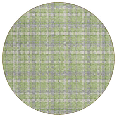 Plaid Indoor / Outdoor Rug