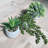 3 Pcs Assorted Small Potted Succulent Plants Artificial Aloe Hops String Of Pearls Succulents In Gray Geometric Concrete Pots