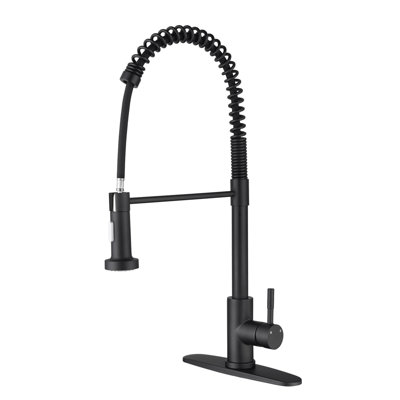 Kitchen Faucet With Pull Out Spraye