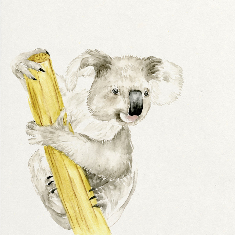Baby Koala II by Melissa Wang - Wrapped Canvas Painting, 76cm H x 76cm W