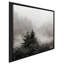 «Rising Mist, Smoky Mountains» par Nicholas Bell - photographie-1619123781-1619123789