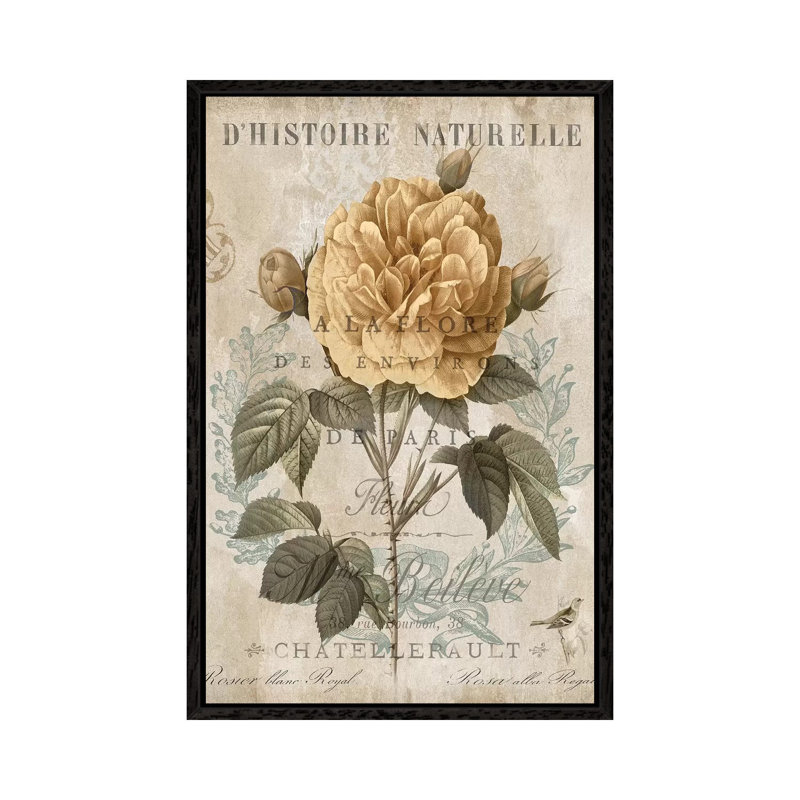 Botanique II by DeeLashee - Print on Canvas, Black Framed, 66.04 cm H x 45.72 cm W