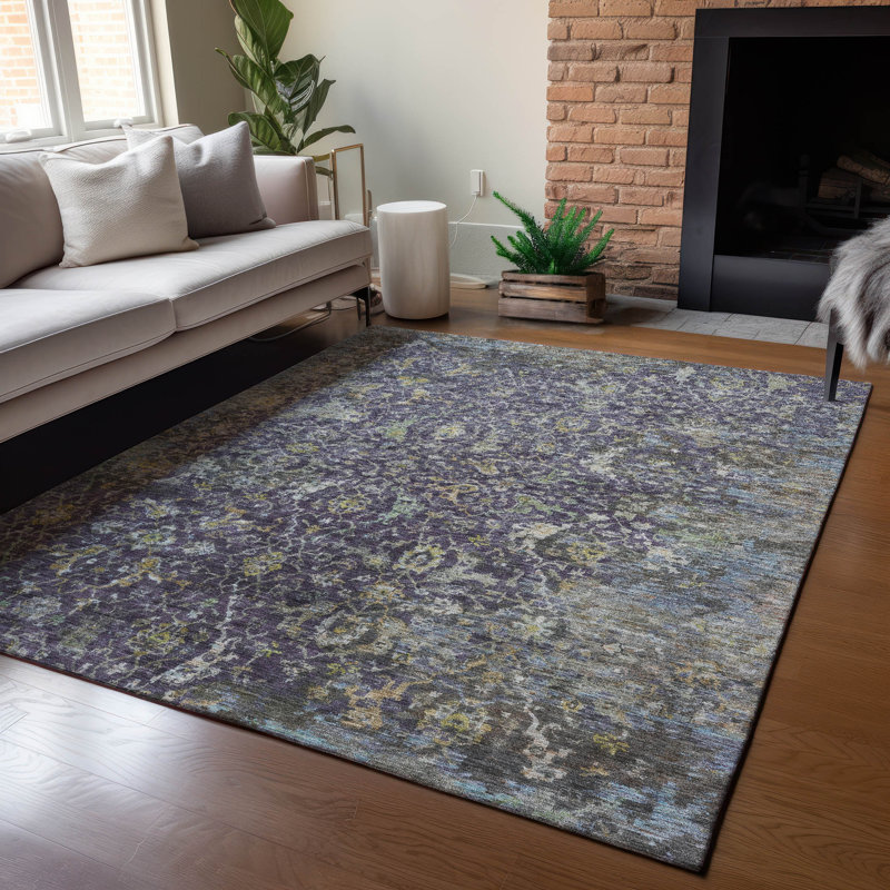 Machine Washable Indoor/Outdoor Chantille ACN2359 Traditional Rug, Rectangle 3' x 5'