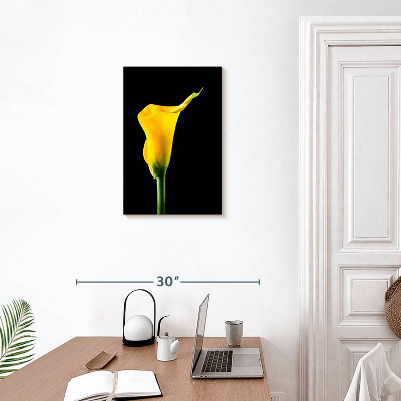 Harnek fleur de lys Calla, H 24 po x l 16 po