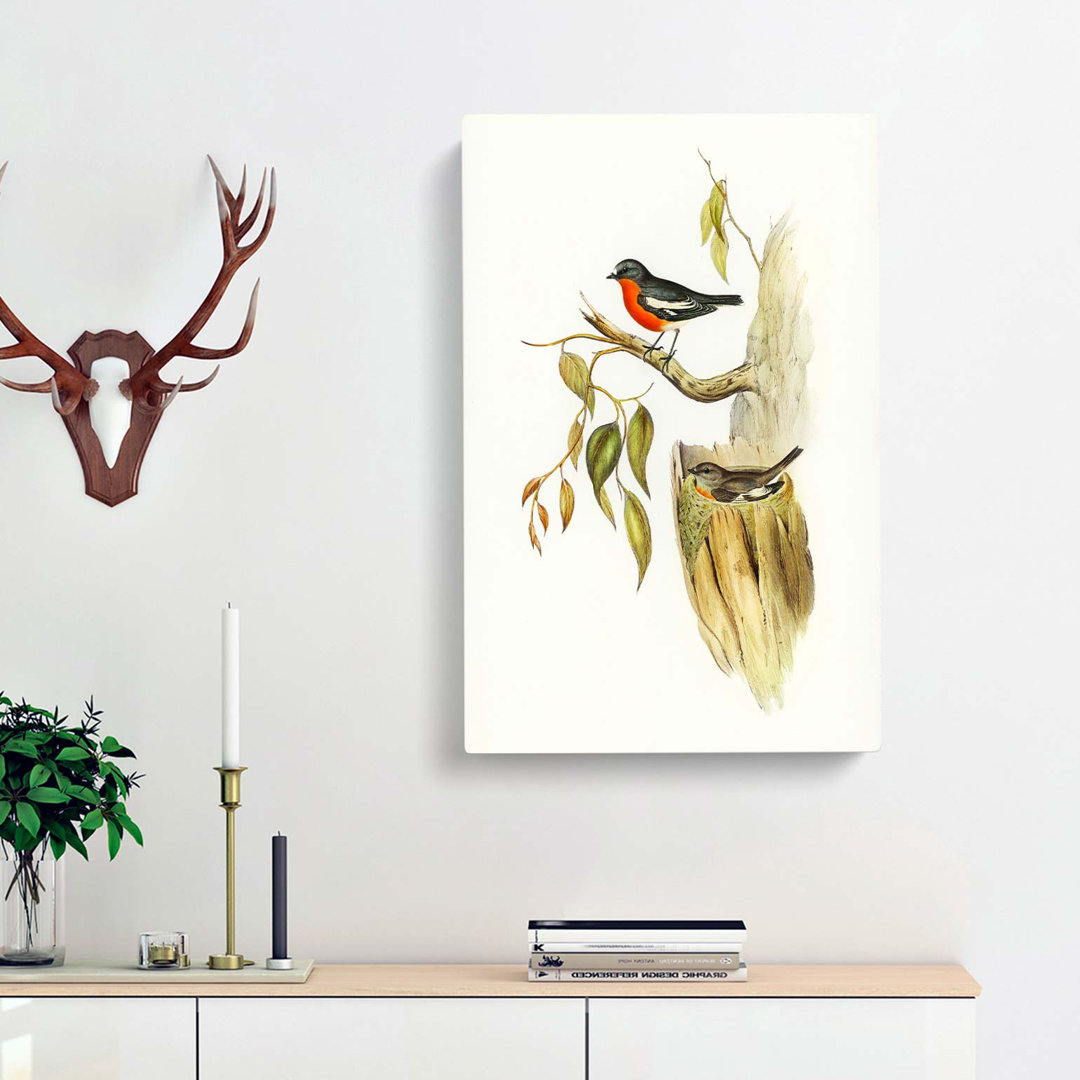 Flame Breasted Robin by Elizabeth Gould - Wrapped Canvas