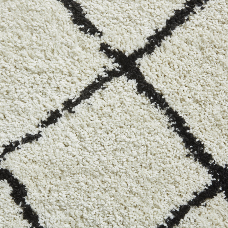 Machine Woven White/Black Rug, Rectangle 160 x 220cm