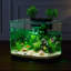 Fish Tank Aquarium Smart Arch Clear GPPS 3 Colour Self Cleaning-185269242