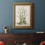 " Munting Botanicals III "-1694107788