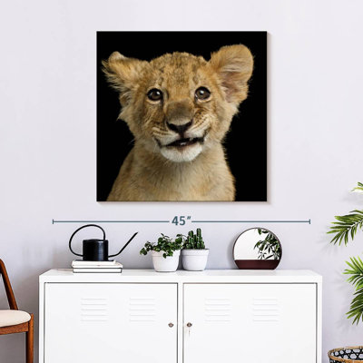 Brampt Baby Lion Head