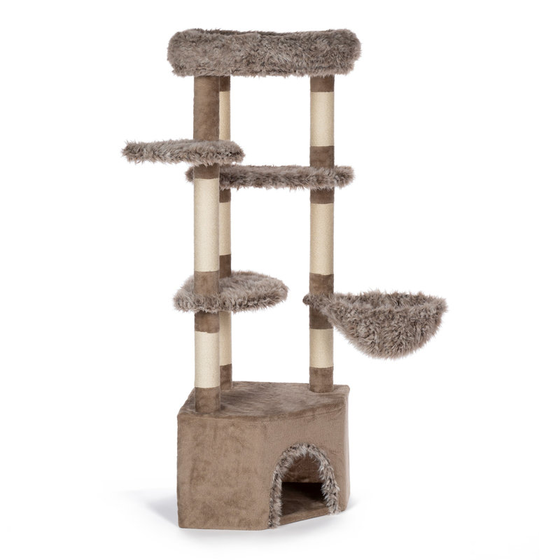  Great Dunes Mountain Cat Tower
