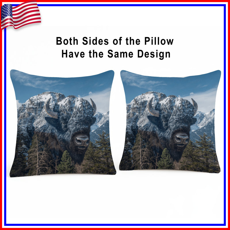 Coussins Mountain Bison Illusion, 20 x 20 inches