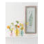 Mimosa Sprays