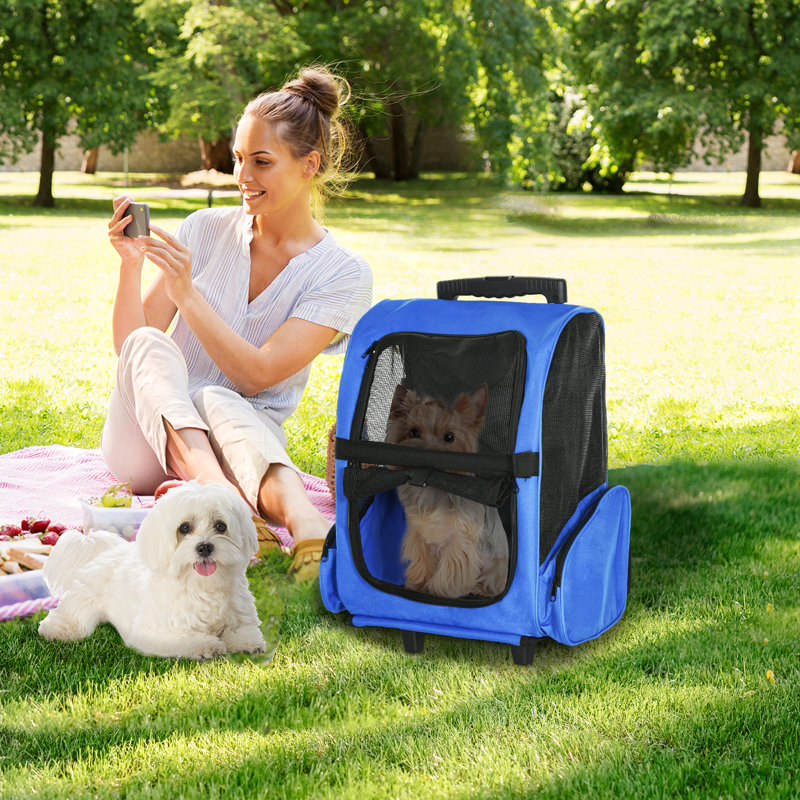 Hartnett Deluxe Travel Pet Carrier, Blue