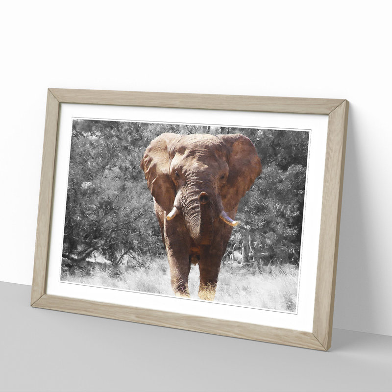 Elephant Vol.1 - Picture Frame Graphic Art, 36cm H x 48cm W x 2cm D, Oak Framed
