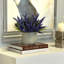 Ferdinand Heather en pot-28784517