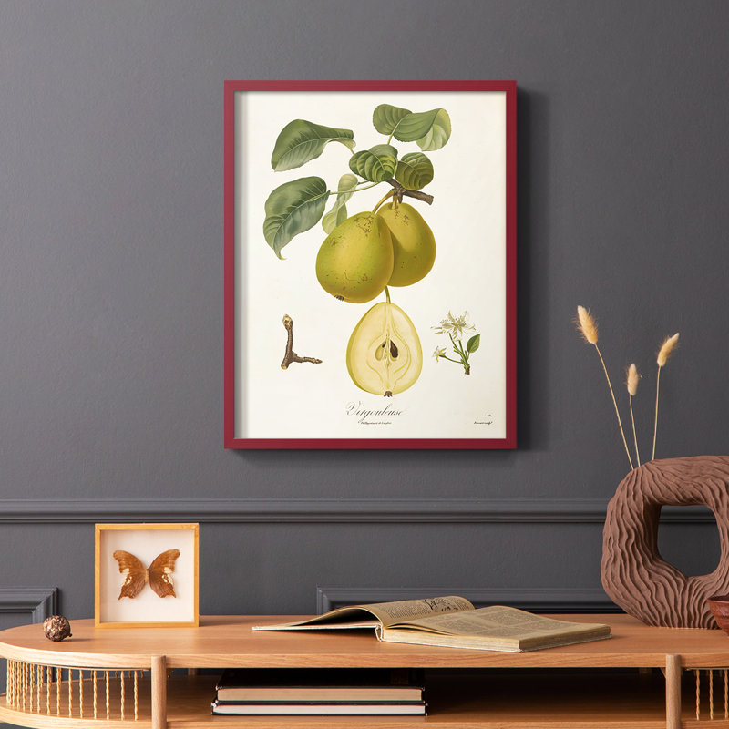 Vintage Pears III Framed Print - Solid Wood, Red, 10" H x 8" W