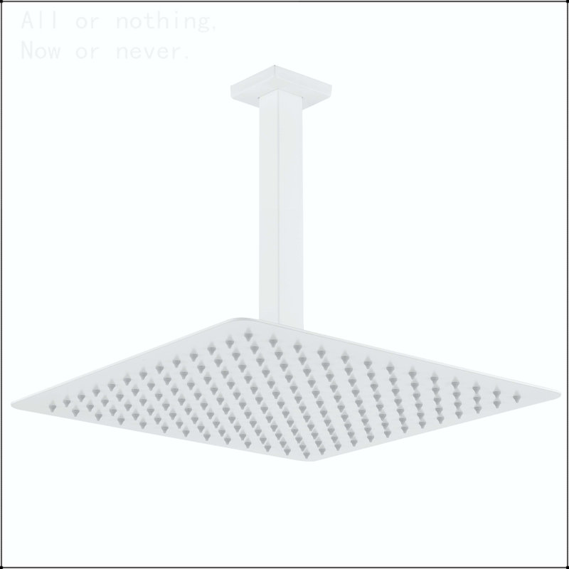 Rain Shower Head High Pressure Rainfall Showerhead Water Saving, White