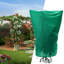 Plant Cover-324091593
