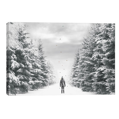 The Path by Jason Brueck - Giclee Art Print on Canvas