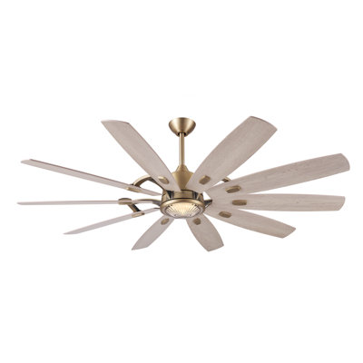 Barn 65" 5CCT LED Smart Ceiling Fan