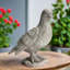 Figurine d’oiseau sur pied cardinal ciment Atwater