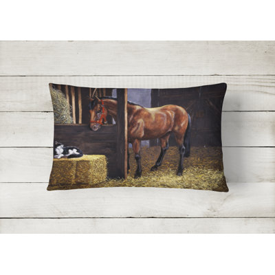 Outdoor Throw Pillow