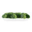 Jerez Faux Succulent in Fiberstone Planter-387915982