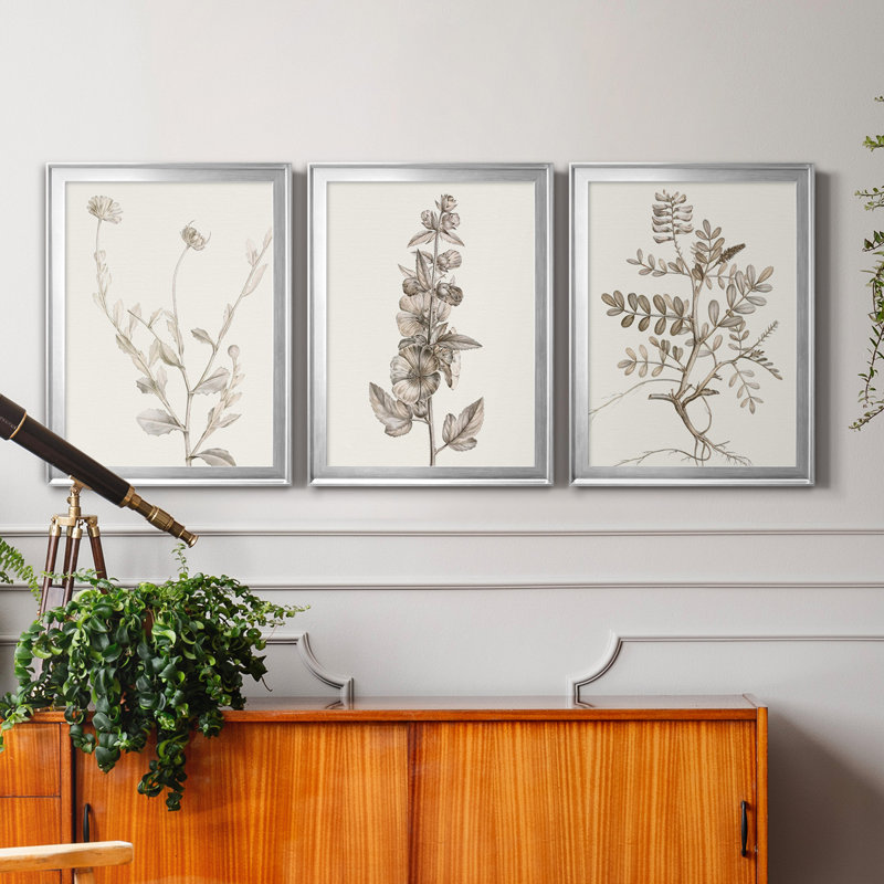 Neutral Botanical Study IV - Ensemble de 3 impressions sur toile encadrées, Argent, H 26,5 po x l 109,5 po x P 4,5 po