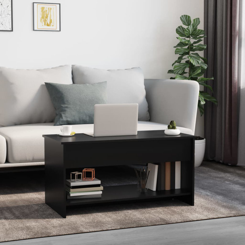Jarosłav Frame Coffee Table with Storage, Black