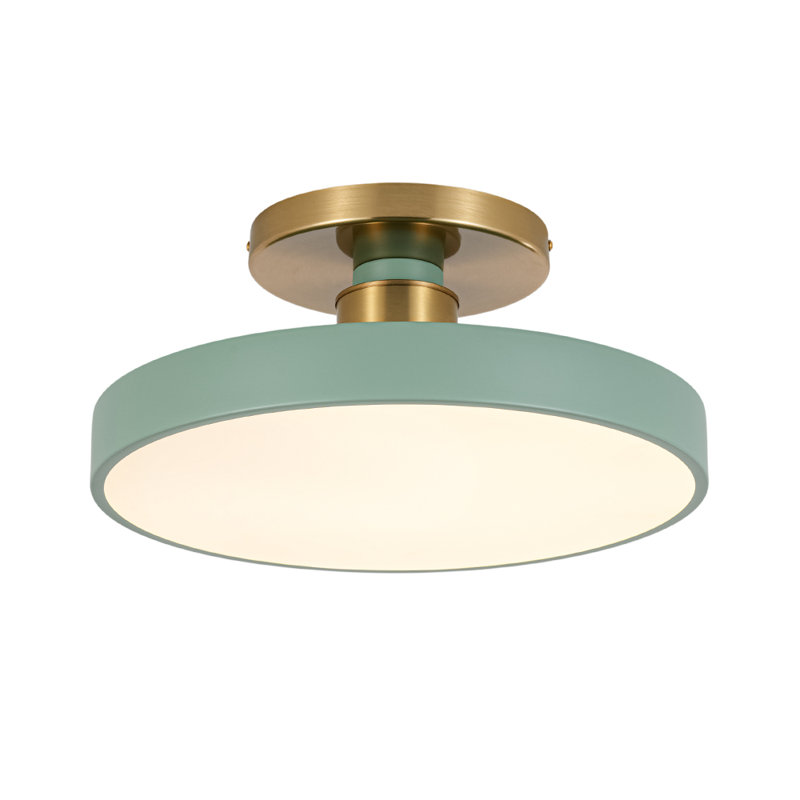 Juleah Acrylic LED Semi Flush Mount, Green