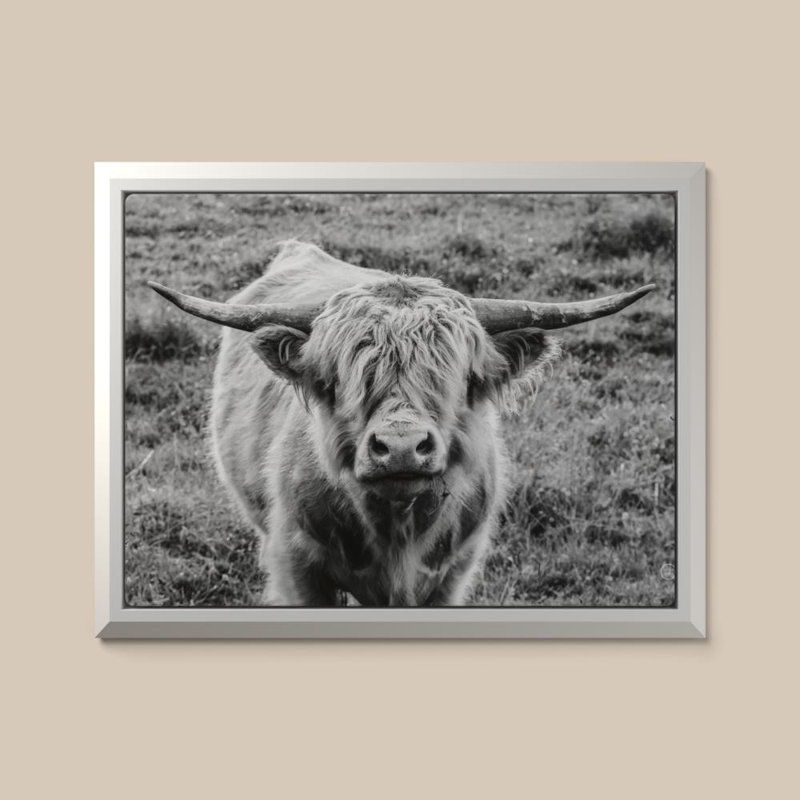 «Highland Cow Staring Contest» par Nathan Larson - impression sur toile, 18" H x 24" W, Cadre flottant biseauté, White