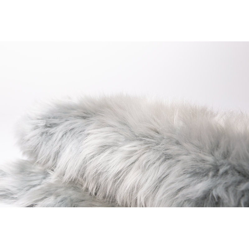 Wynetta Sheepskin Indoor / Outdoor Rug, Novelty 2'x 3'