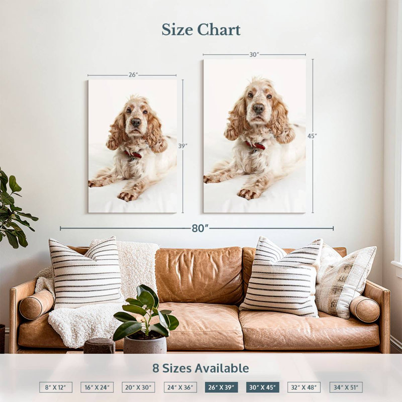 Resting Cocker Spaniel, 39" H x 26" W