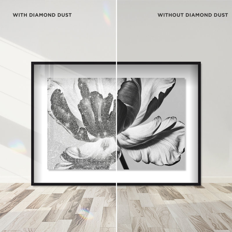 Full Bloom Framed Graphic Art, 17.5" H x 25.5" W, Black Shadowbox