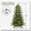 Arbre de Noël vert 5 pi-1826299568-1826299570