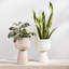 Iittala Nappula Porcelain Urn Planter-66025540-66025541