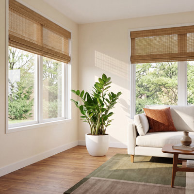 Costa Farms ZZ Plant