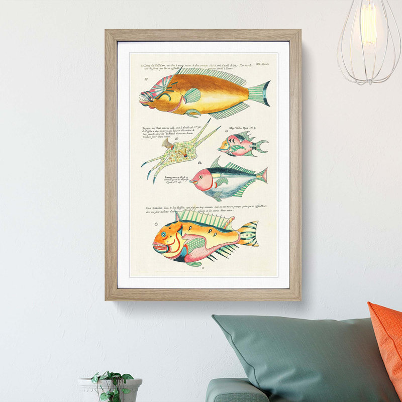East Indies Fish Illustrations XIII by Louis Renard - Picture Frame Graphic Art Print, 65cm H x 48cm W x 2cm D, Oak Framed