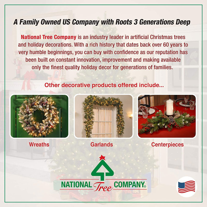 National Tree Company Decorative Elegance Spruce Wreath with Battery Operated Lights, 36" H x 36" W x 6" D
