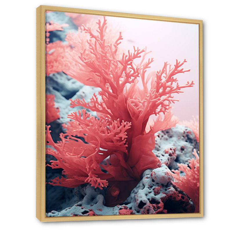 «Pink Coral And Anemones Dance II», reproduction sur toile, Cadre naturel flottant, H 40 po x l 30 po x P 1,5 po