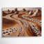 Art sur toile brun, motifs du sud-ouest, "Coyote Tracks 205"-1109077757