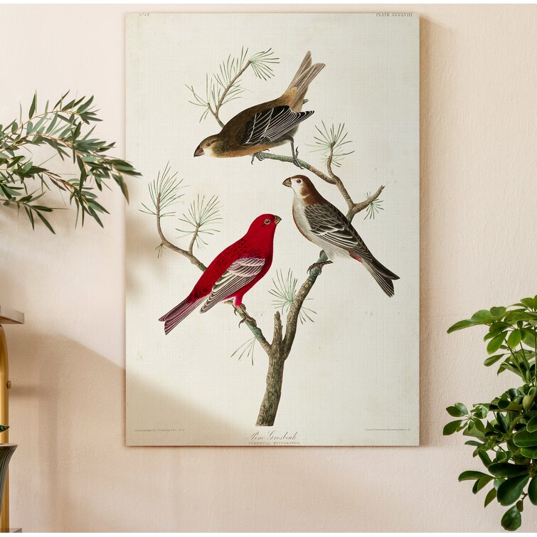 Charlton Home® Pl 358 Pine Grosbeak On Canvas | Wayfair